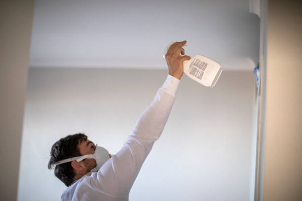 Best Kitchen Mold Remediation in New City, NY