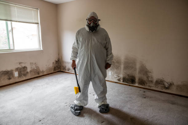Best Mold Remediation for Specific Building Types in New City, NY